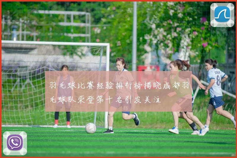 羽毛球比赛经验排行榜揭晓成都羽毛球队荣登第十名引发关注