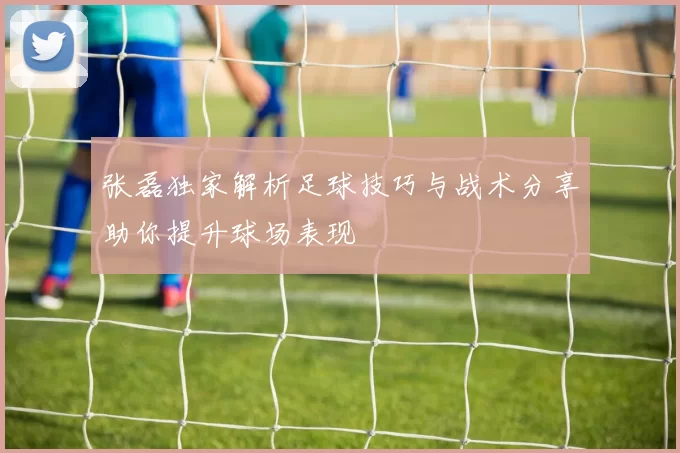 张磊独家解析足球技巧与战术分享助你提升球场表现