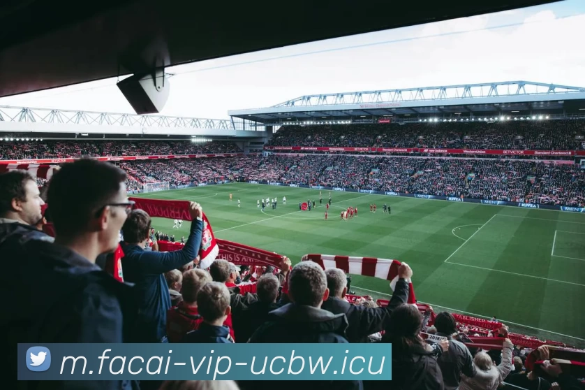 App Interface Preview